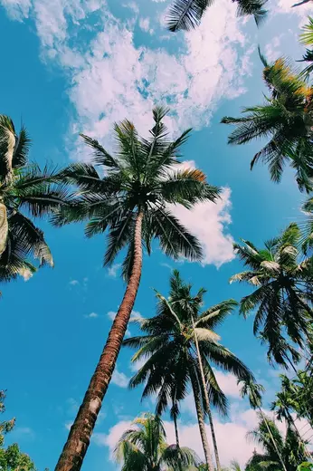 A SUSTAINABLE ENVIRONMENT